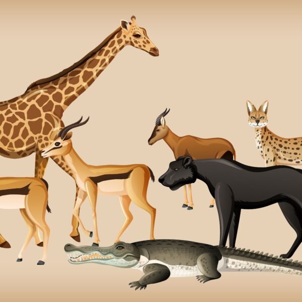 perspectiva evolutiva