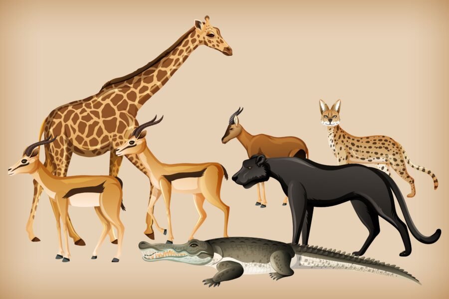 perspectiva evolutiva