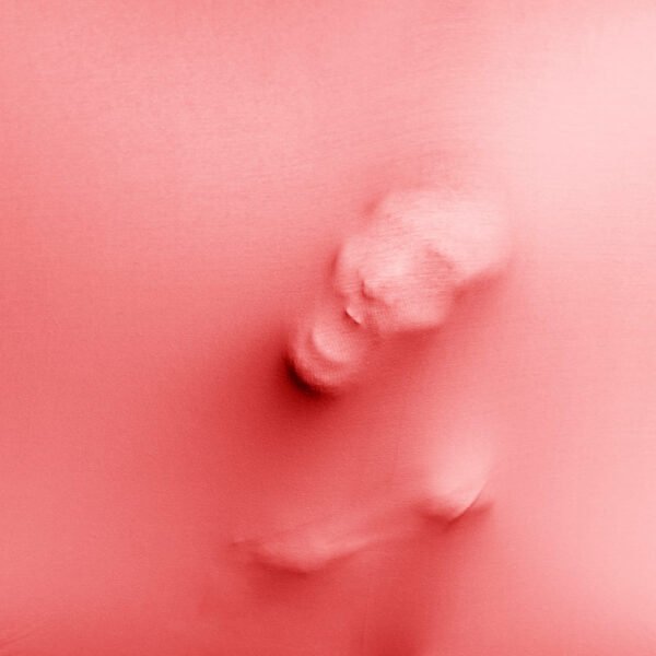 Relación entre el sentir y la salud de los órganos según Javier Wolcoff y El Juego.